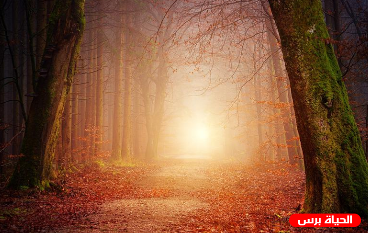 رؤية الميت في المنام للعزباء